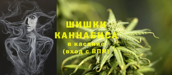 гидра Верея