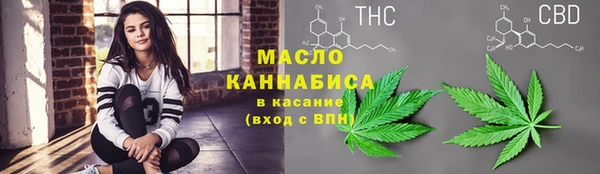 гидра Верея