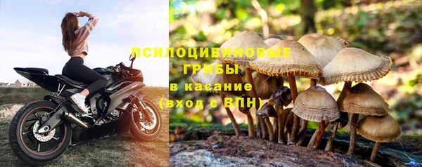 дмт Володарск