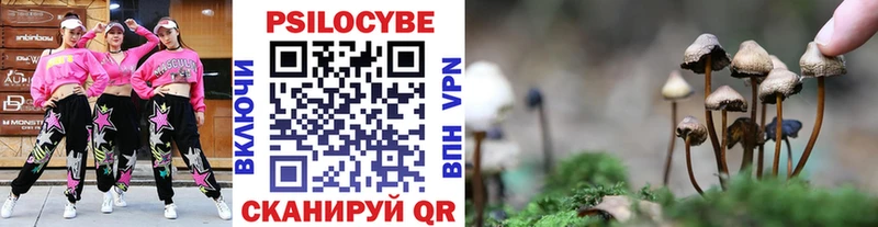 Галлюциногенные грибы Cubensis  omg зеркало  маркетплейс какой сайт  Гусиноозёрск 