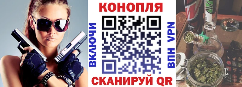 Бошки Шишки семена  Гусиноозёрск 